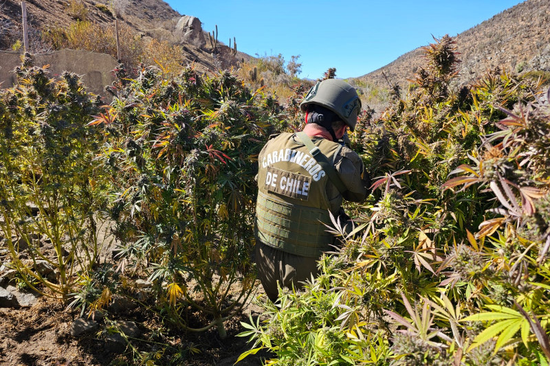 OS-7 de Carabineros para Limarí y Choapa